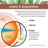 Country Life Lutein 20 mg & Zeaxanthin Softgel For Eye Health, Pack of 60's