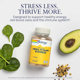 Solaray Mega Vitamin B-Stress Veg Capsules 120’s 